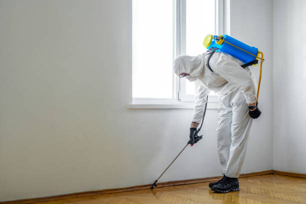 Best Pest Prevention Services  in Dunbar, SC